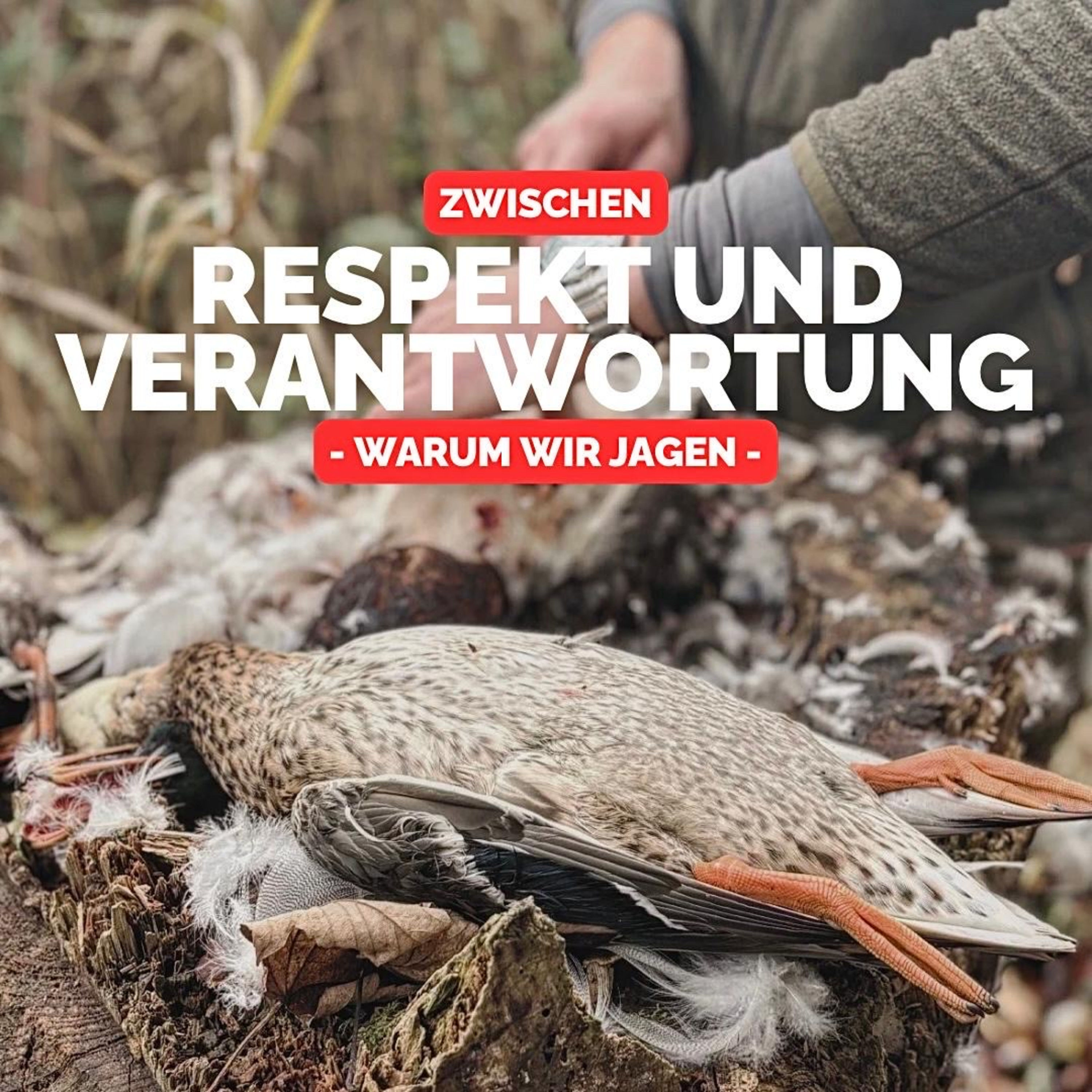 Zwischen Respekt und Verantwortung: Warum wir jagen