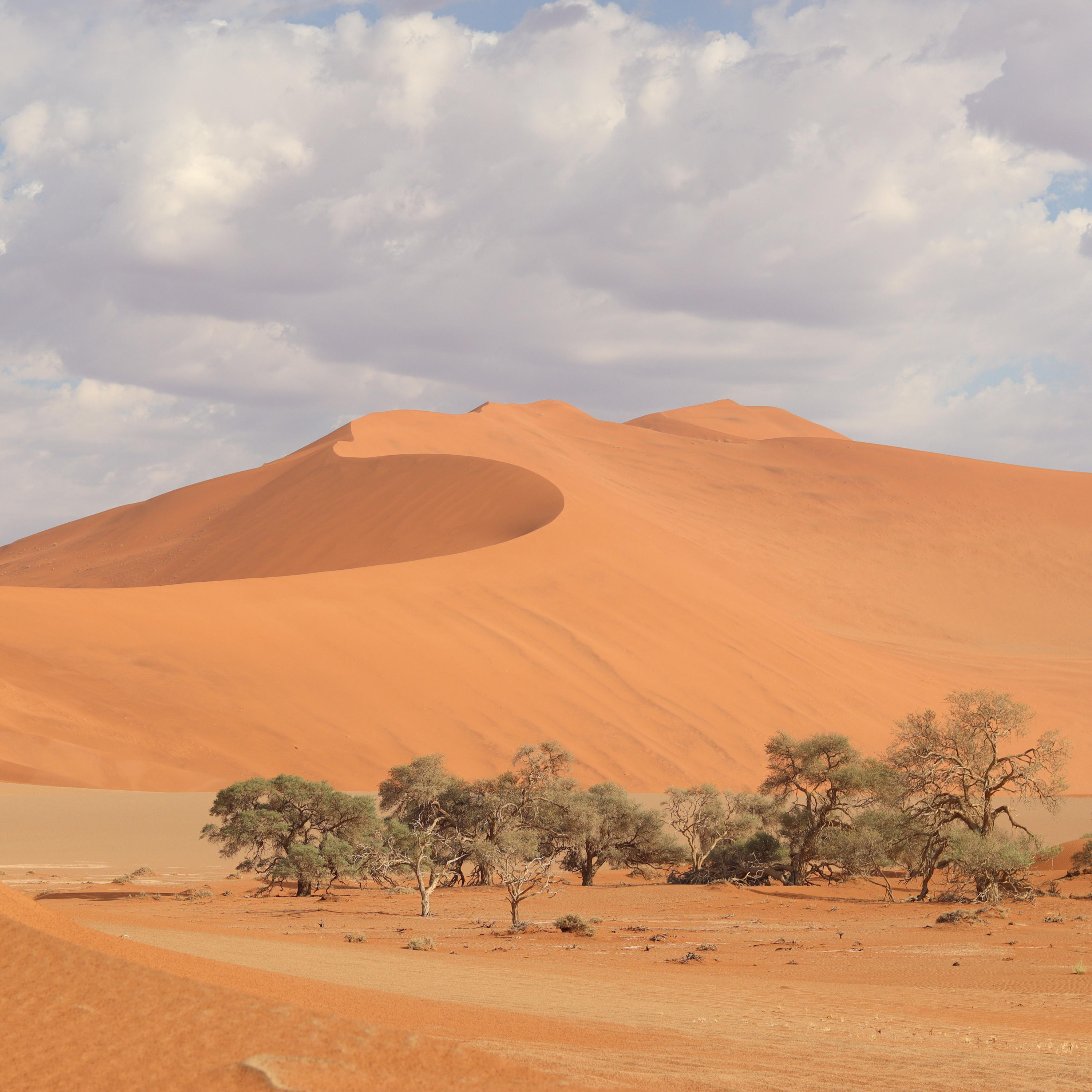 Zwischen Wildnis und Wirtschaft - Die Jagd in Namibia