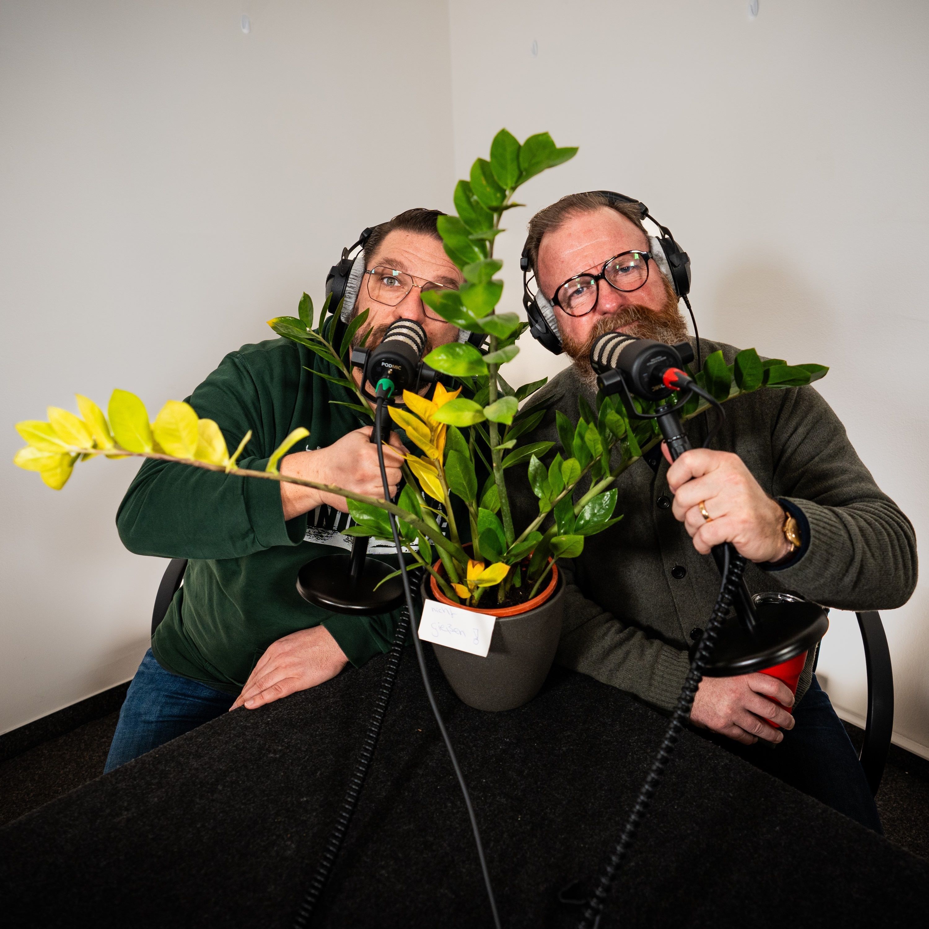 Zwischenstopp mit Freddy